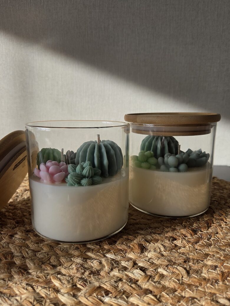 Lielā sukulentu oāze